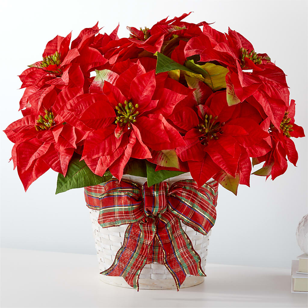 Happiest Holidays Poinsettia – MARY'S GIFT SHOP, Watsonville CA