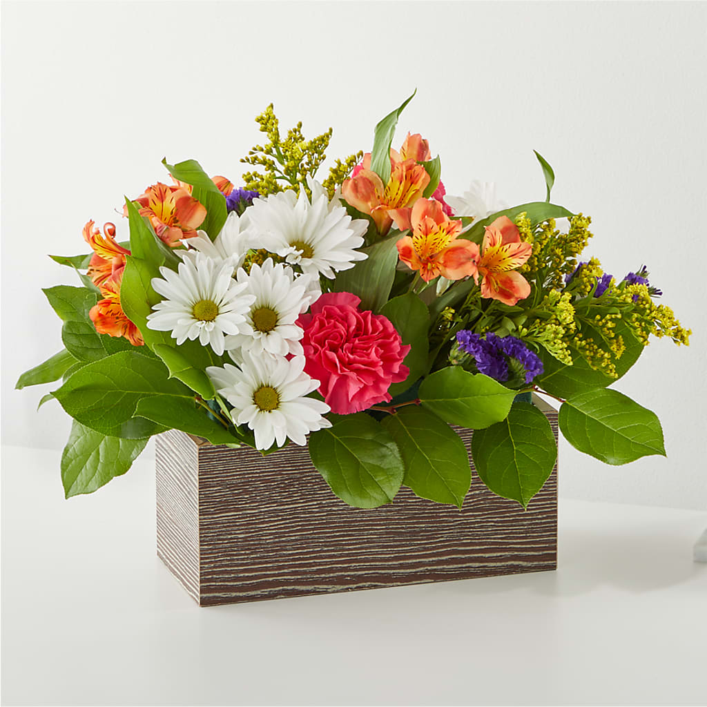Oopsie Daisy Box Bouquet – MARY'S GIFT SHOP, Watsonville CA