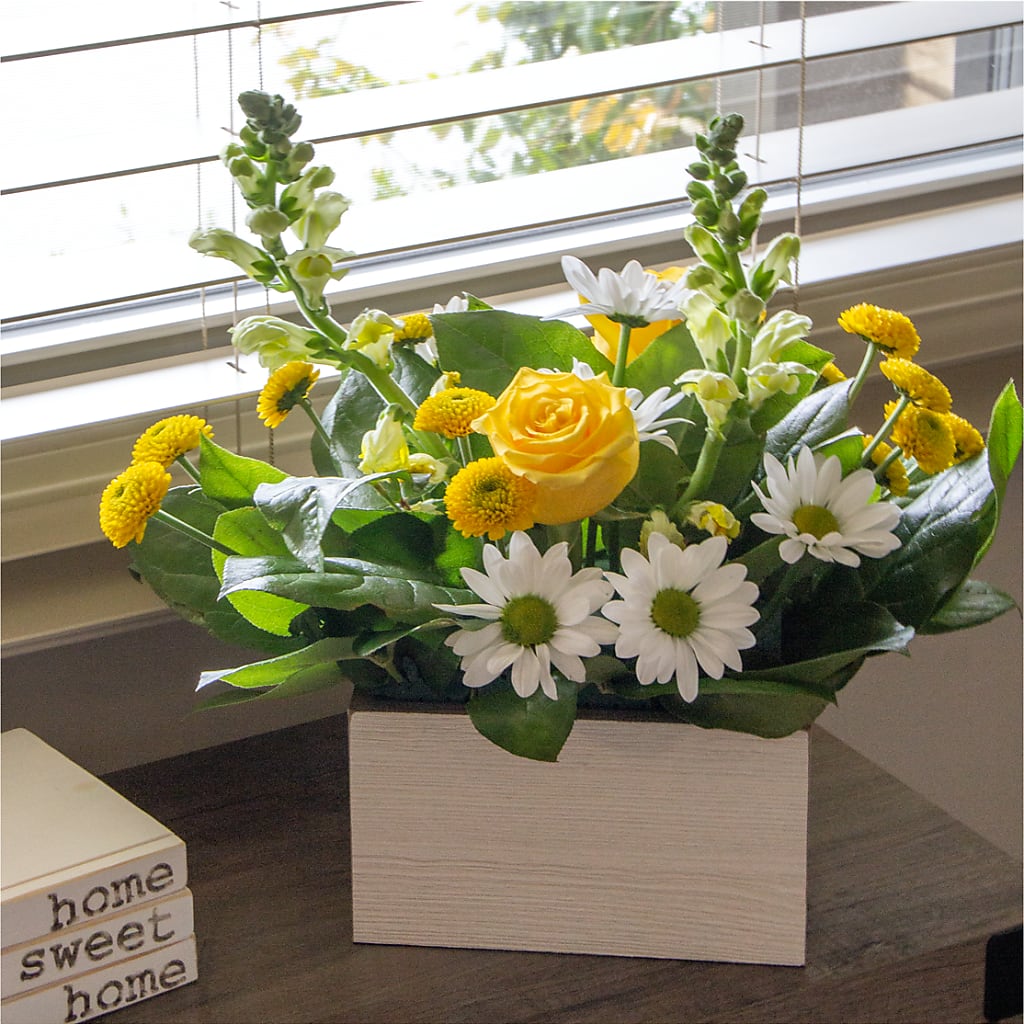Sun Salutation Box Bouquet – MARY'S GIFT SHOP, Watsonville CA