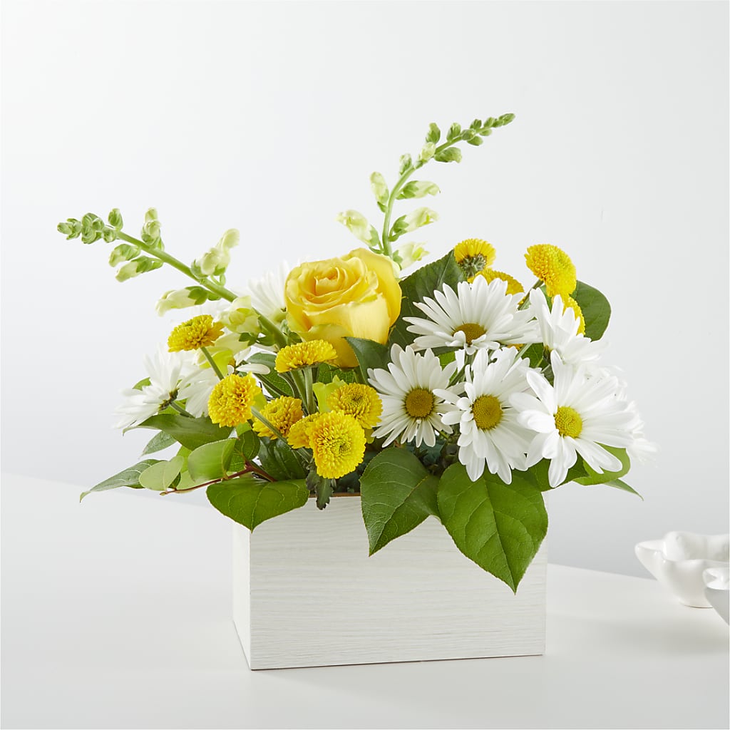 Sun Salutation Box Bouquet – MARY'S GIFT SHOP, Watsonville CA