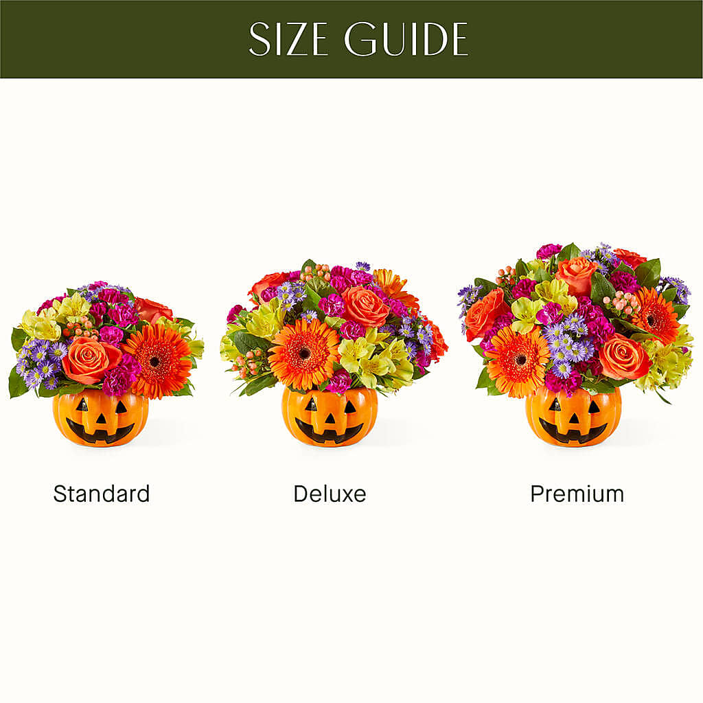 Tricks & Treats Pumpkin – MARY'S GIFT SHOP, Watsonville CA