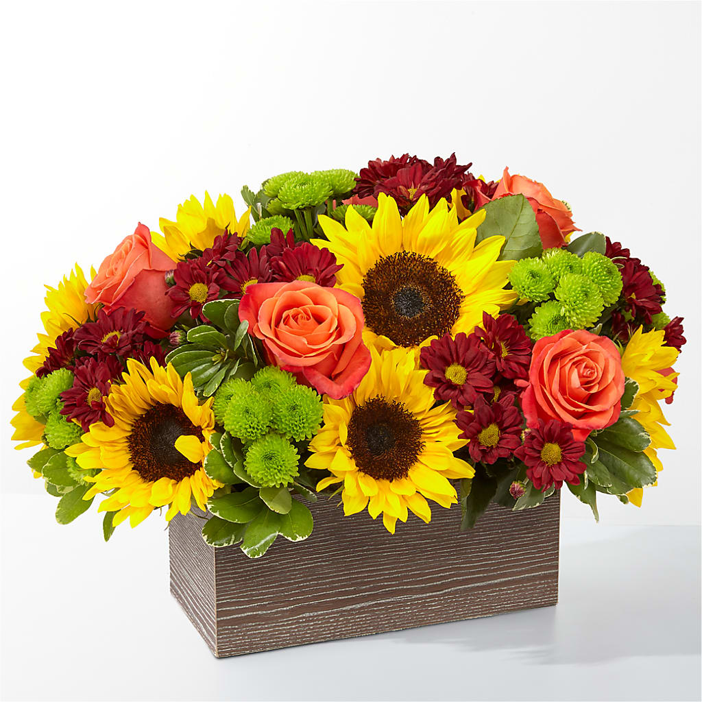 Happy Harvest Garden – MARY'S GIFT SHOP, Watsonville CA