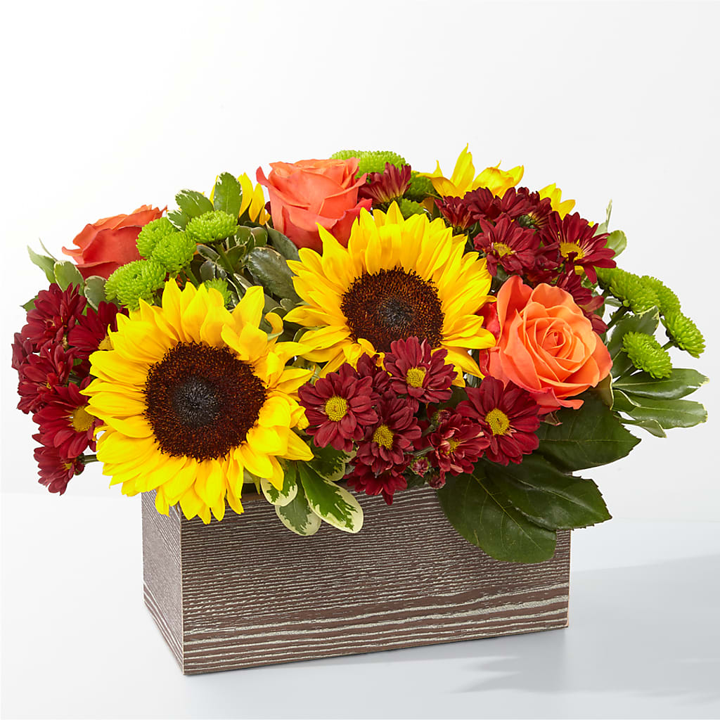 Happy Harvest Garden – MARY'S GIFT SHOP, Watsonville CA
