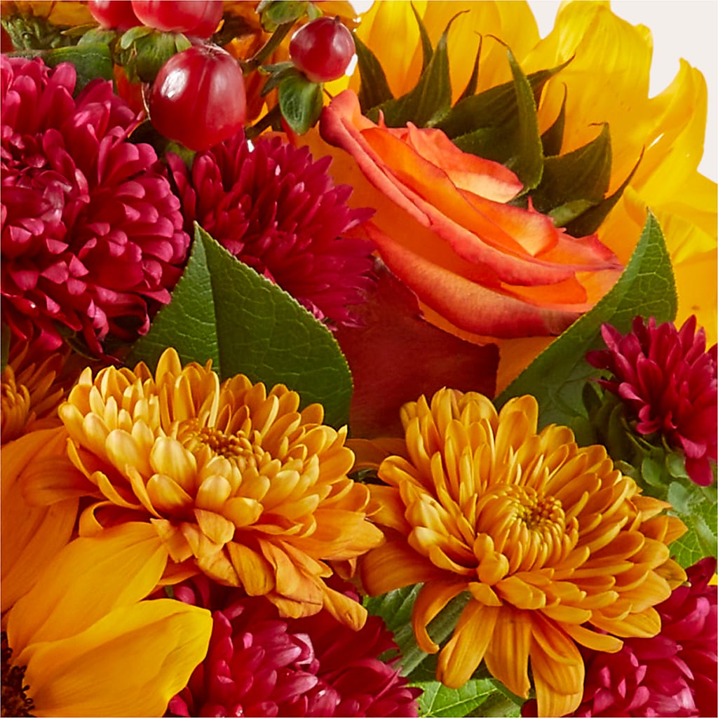 Sweater Season - A Florist Original – MARY'S GIFT SHOP, Watsonville CA