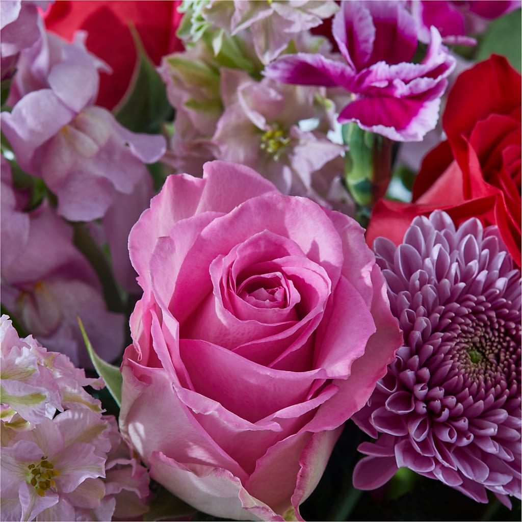 Better Together - A Luxury Florist Original – MARY'S GIFT SHOP, Watsonville CA