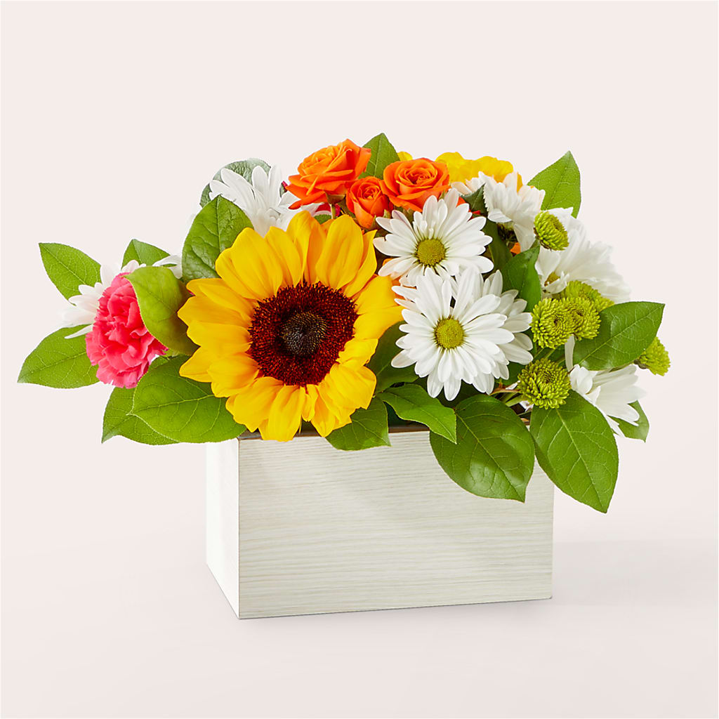 Sun-drenched Blooms Box Bouquet – MARY'S GIFT SHOP, Watsonville CA