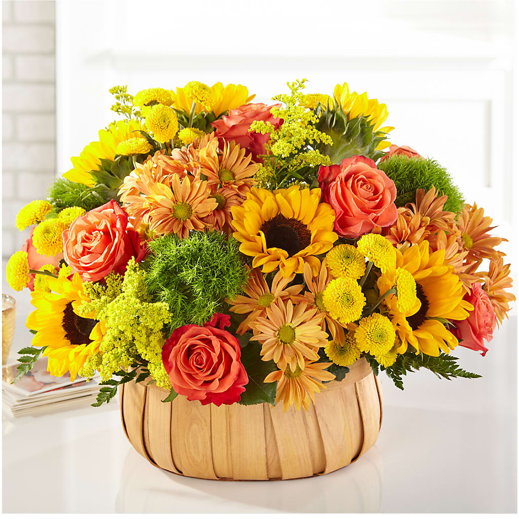 Harvest Sunflower Basket – MARY'S GIFT SHOP, Watsonville CA