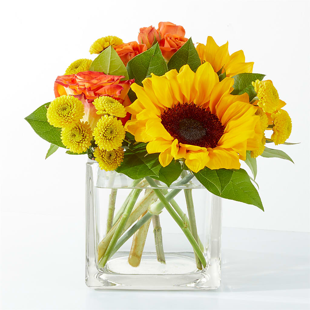 Picnic in the Park Bouquet – MARY'S GIFT SHOP, Watsonville CA