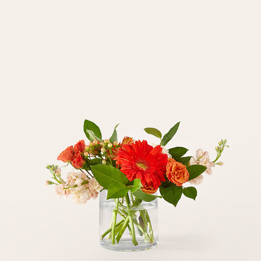 Paloma Please Bouquet – MARY'S GIFT SHOP, Watsonville CA