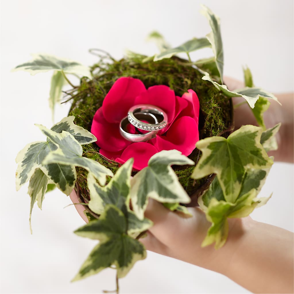 Lila Rose Ring Nest – MARY'S GIFT SHOP, Watsonville CA