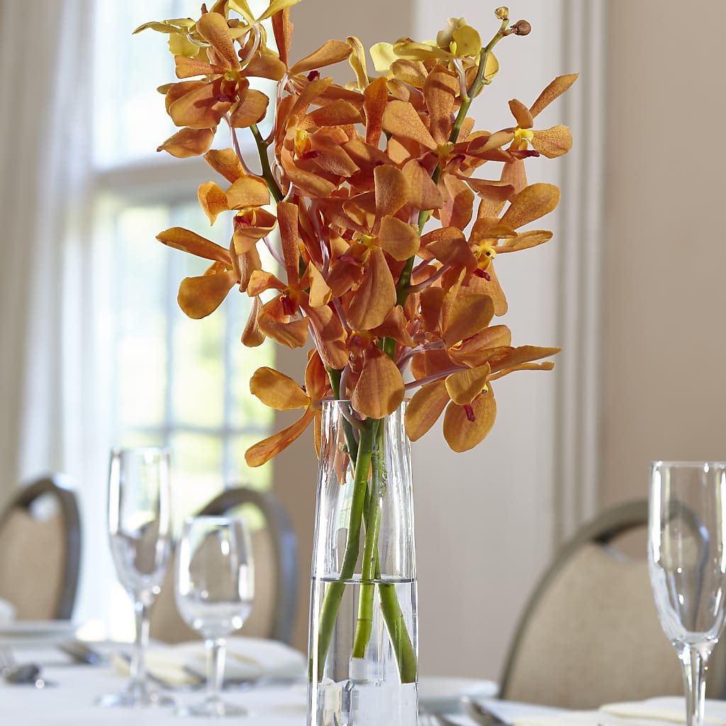 Orange Mokara Bud Vase – MARY'S GIFT SHOP, Watsonville CA