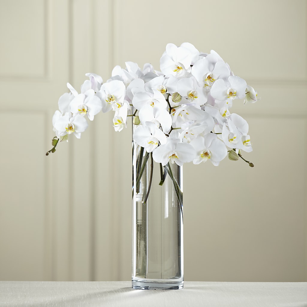 White Phalaenopsis Bouquet – MARY'S GIFT SHOP, Watsonville CA