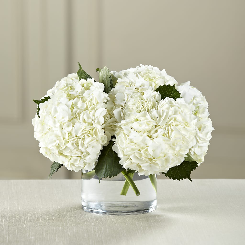 White Hydrangea Bouquet – MARY'S GIFT SHOP, Watsonville CA