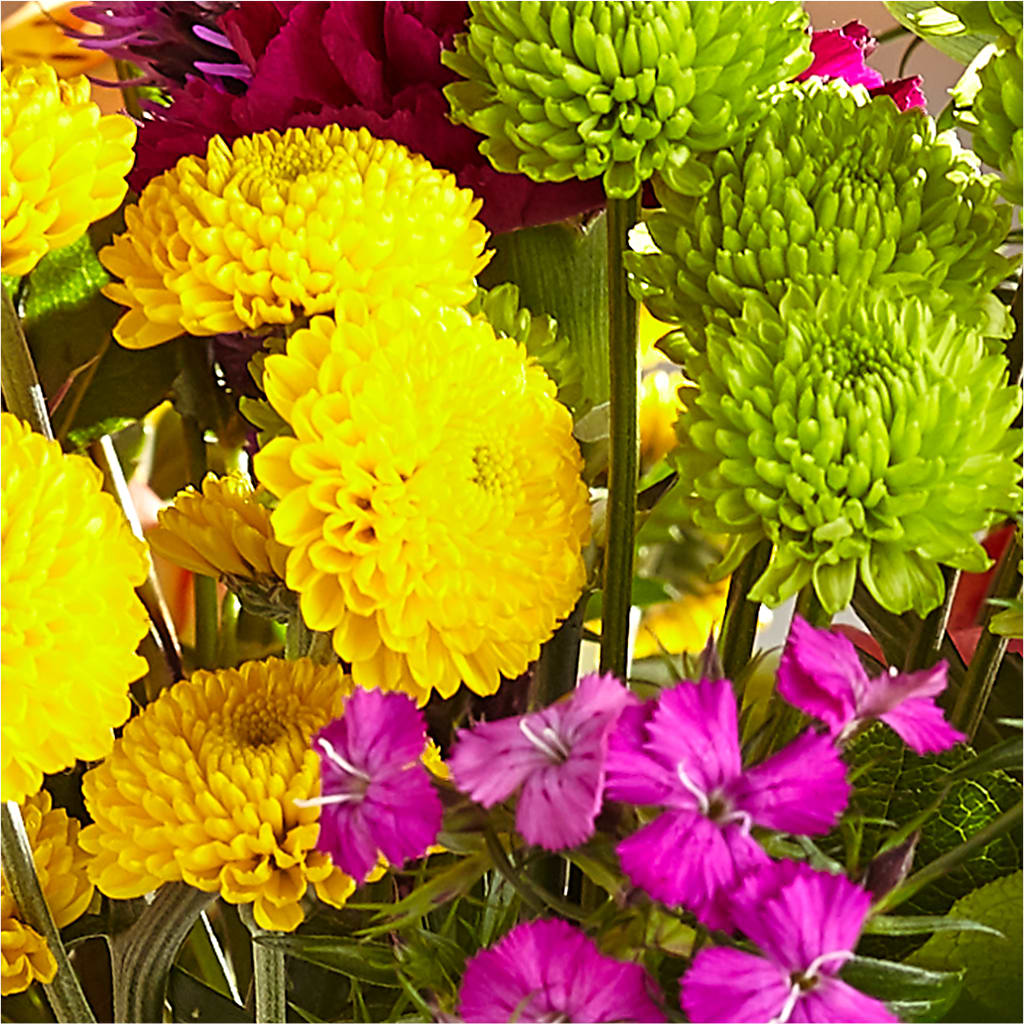 Bold & Bright – A Florist Original – MARY'S GIFT SHOP, Watsonville CA