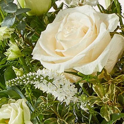 Cashmere Bouquet – MARY'S GIFT SHOP, Watsonville CA