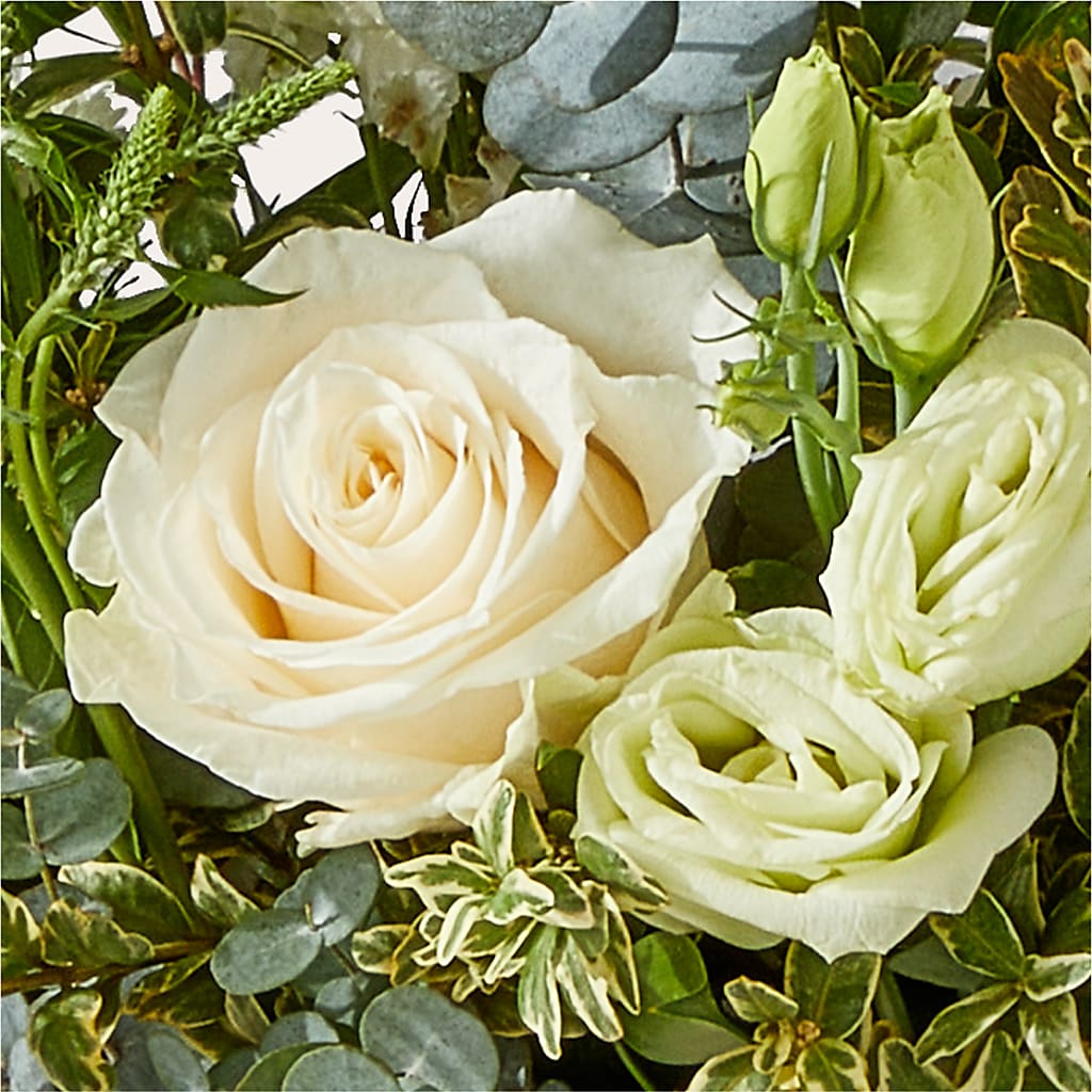 Cashmere Bouquet – MARY'S GIFT SHOP, Watsonville CA