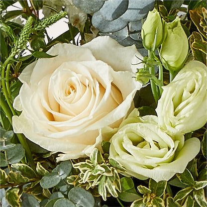 Cashmere Bouquet – MARY'S GIFT SHOP, Watsonville CA