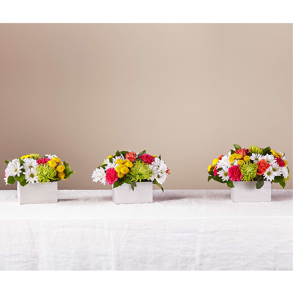 Sorbet Bouquet – MARY'S GIFT SHOP, Watsonville CA
