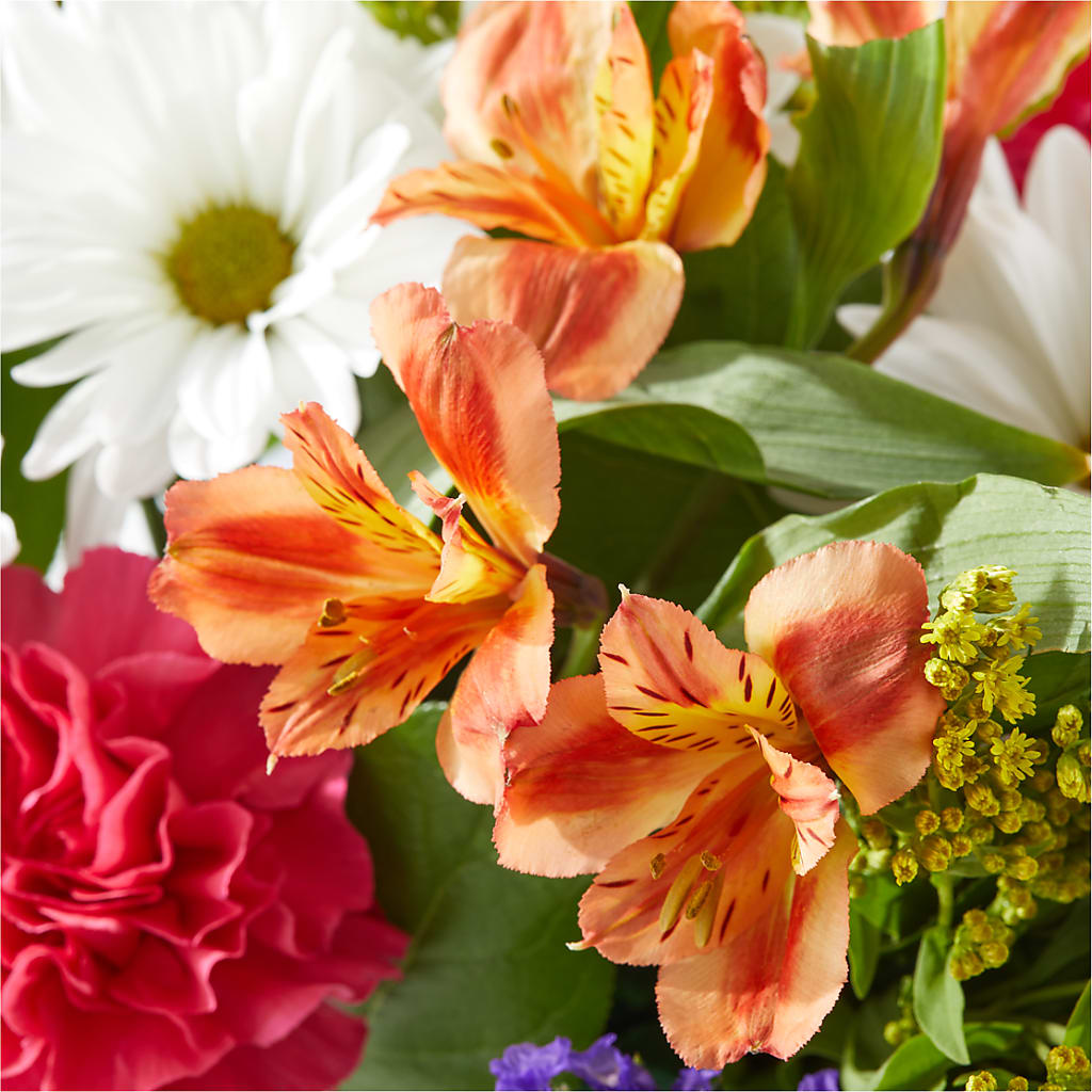 Oopsie Daisy Box Bouquet – MARY'S GIFT SHOP, Watsonville CA