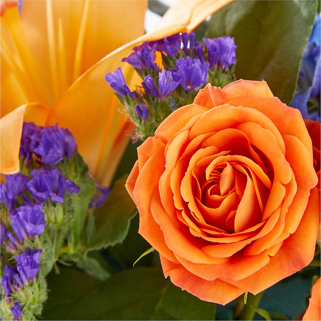 Radiant Citrus Box Bouquet – MARY'S GIFT SHOP, Watsonville CA