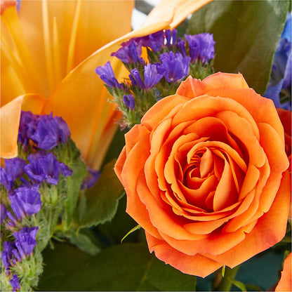 Radiant Citrus Box Bouquet – MARY'S GIFT SHOP, Watsonville CA