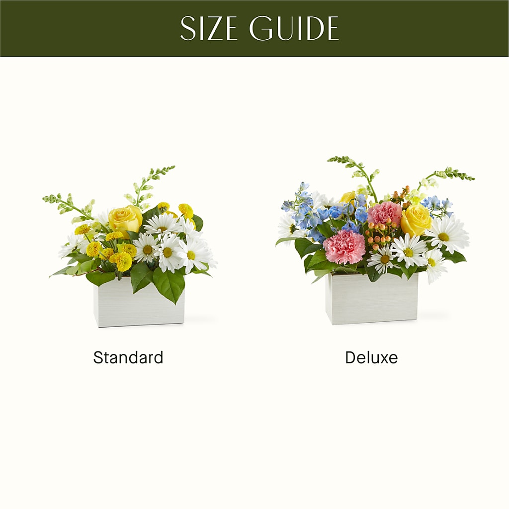 Sun Salutation Box Bouquet – MARY'S GIFT SHOP, Watsonville CA