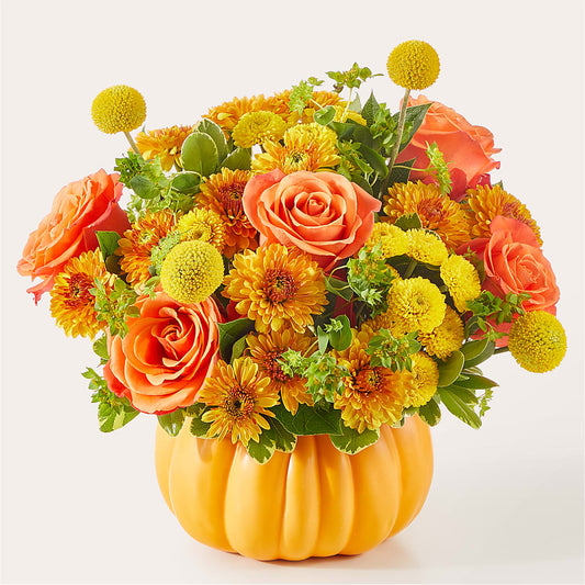 Gourdgeous Pumpkin – MARY'S GIFT SHOP, Watsonville CA