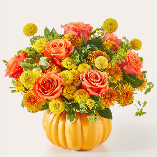 Gourdgeous Pumpkin – MARY'S GIFT SHOP, Watsonville CA