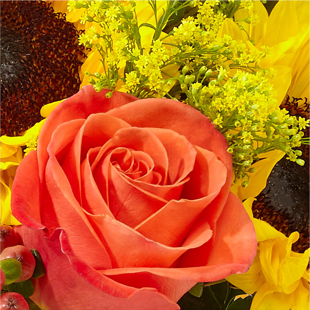 Pick of the Patch Pumpkin Bouquet – MARY'S GIFT SHOP, Watsonville CA
