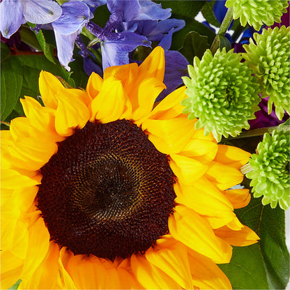 Catching Rays Bouquet – MARY'S GIFT SHOP, Watsonville CA