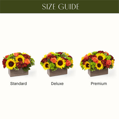 Happy Harvest Garden – MARY'S GIFT SHOP, Watsonville CA