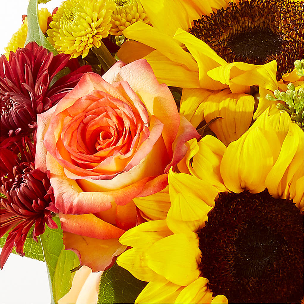 Golden Gourd Pumpkin Bouquet – MARY'S GIFT SHOP, Watsonville CA