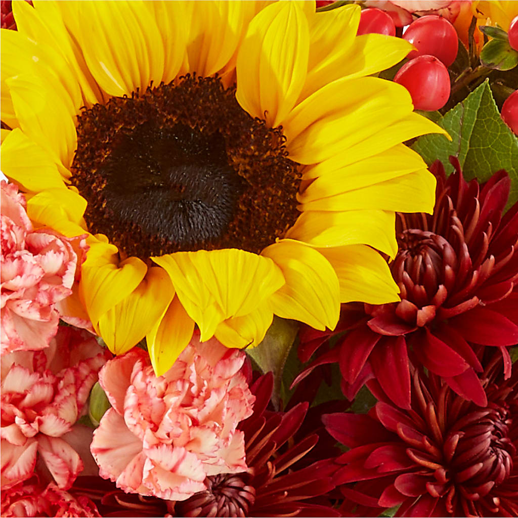 Fresh Cider Bouquet – MARY'S GIFT SHOP, Watsonville CA