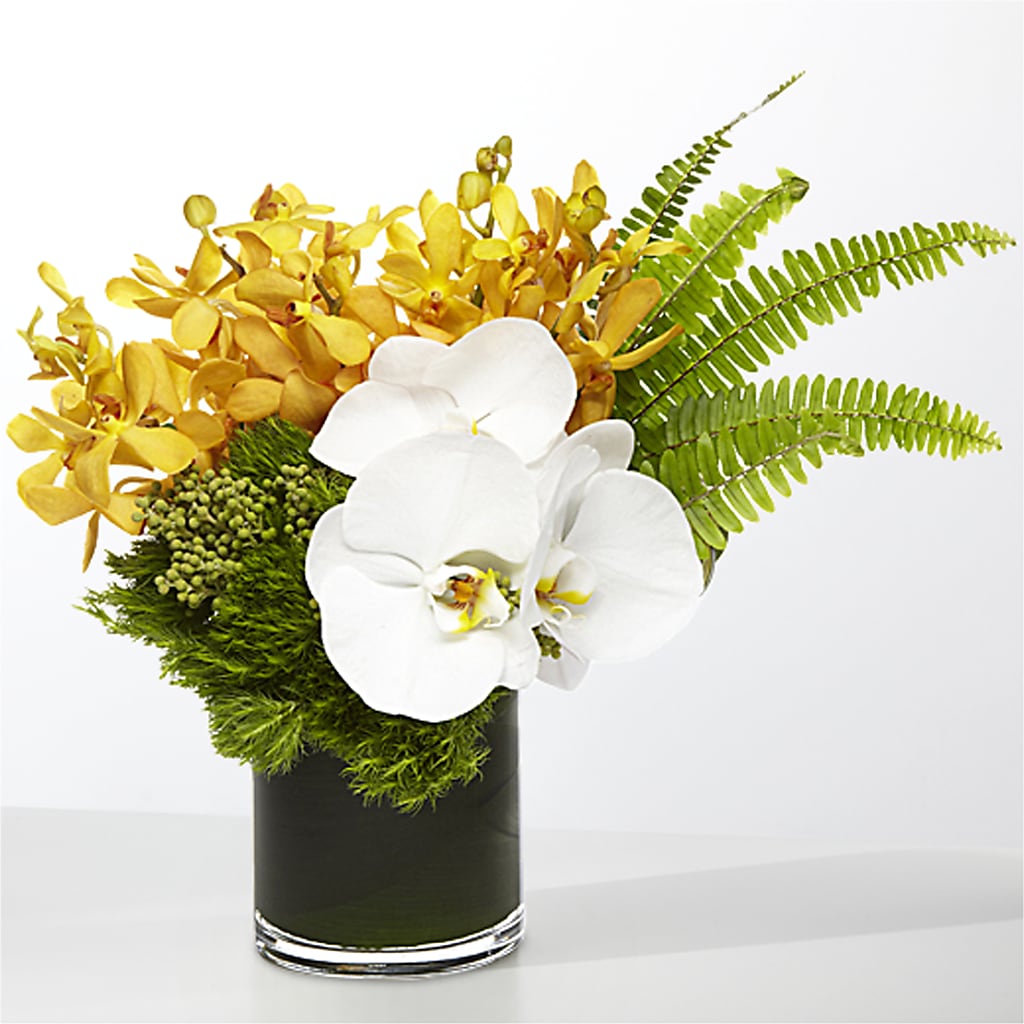 The Tropics – MARY'S GIFT SHOP, Watsonville CA