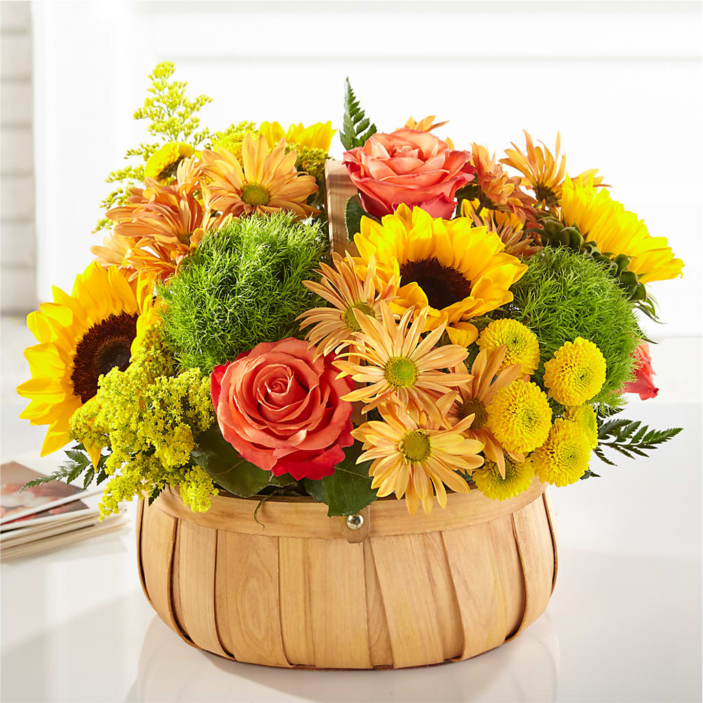 Harvest Sunflower Basket – MARY'S GIFT SHOP, Watsonville CA