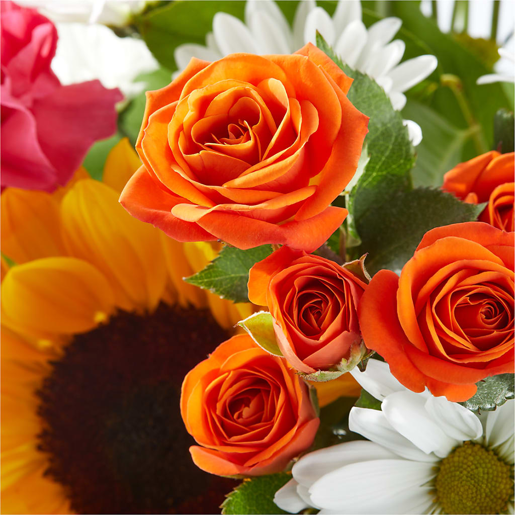 Sun-drenched Blooms Bouquet – MARY'S GIFT SHOP, Watsonville CA