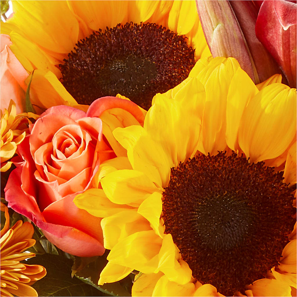 Acorn Lane Bouquet – MARY'S GIFT SHOP, Watsonville CA