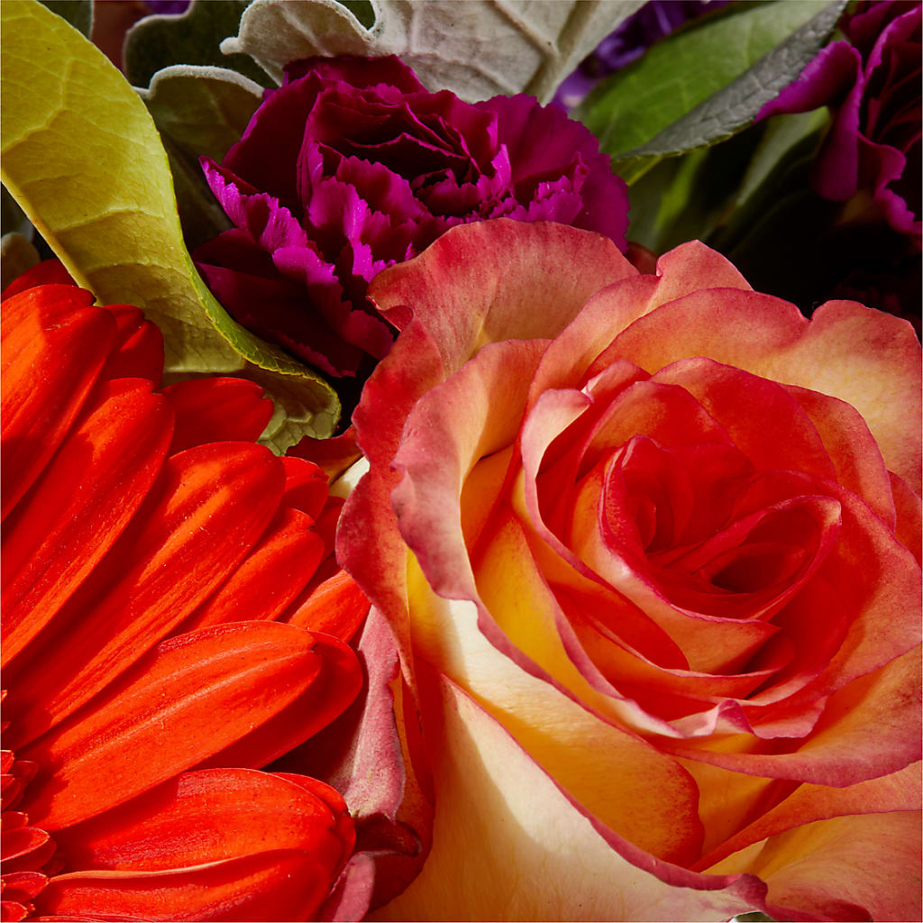 Sangria Bouquet – MARY'S GIFT SHOP, Watsonville CA