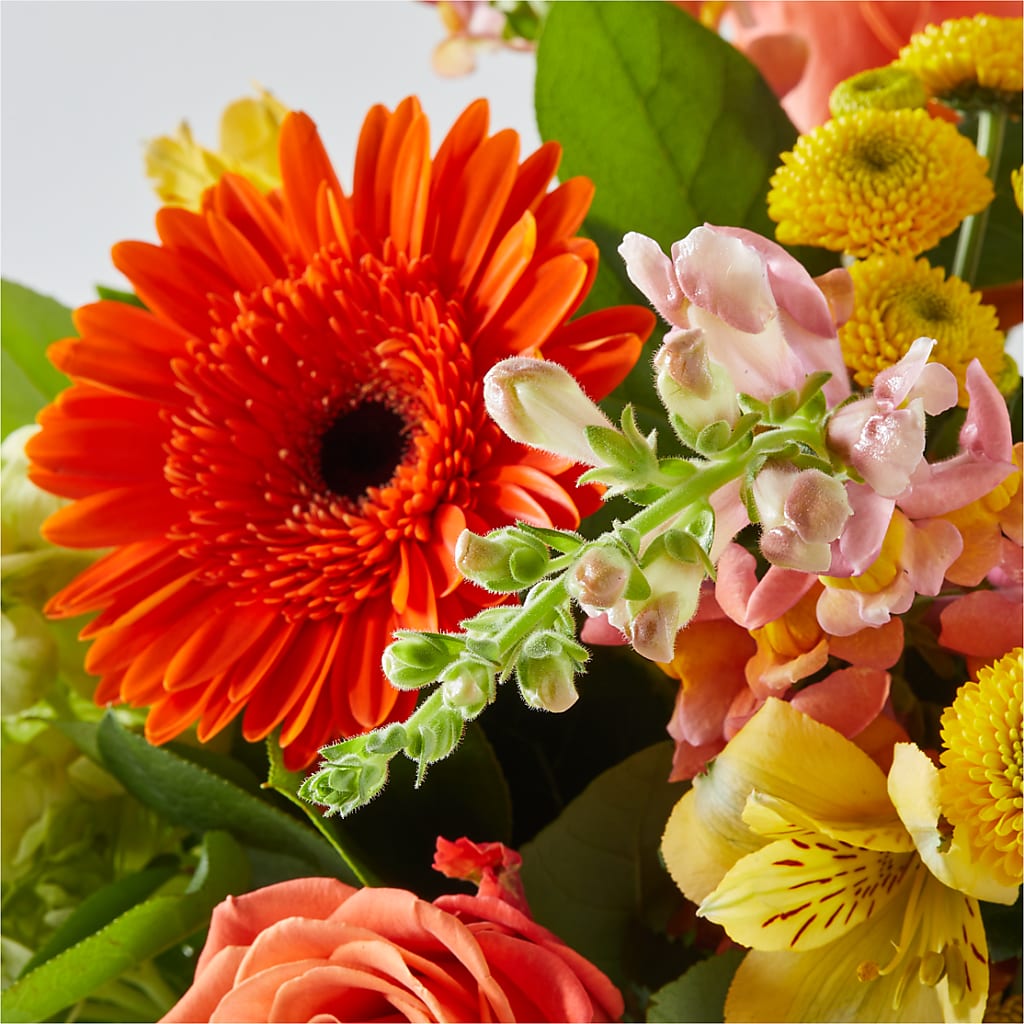 Autumn Sunshine Bouquet – MARY'S GIFT SHOP, Watsonville CA