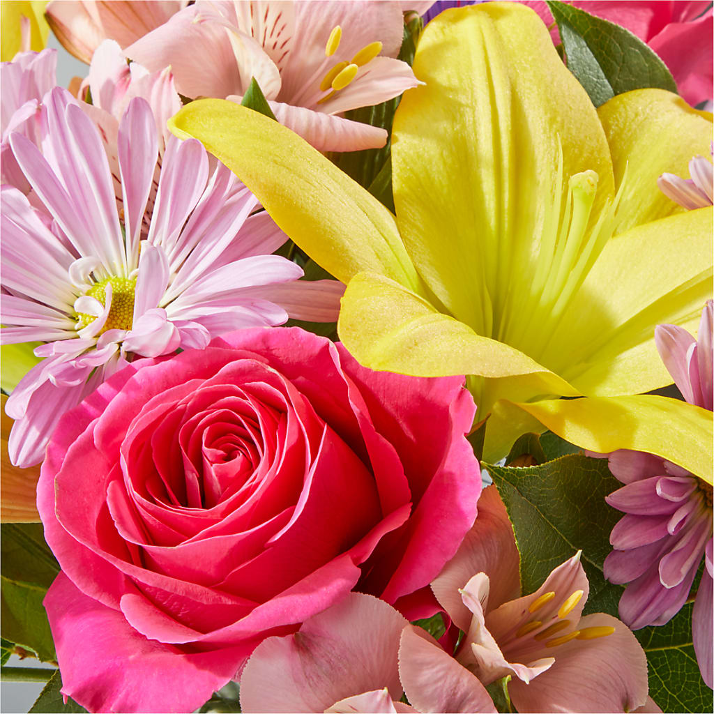 Sprinkles Bouquet – MARY'S GIFT SHOP, Watsonville CA