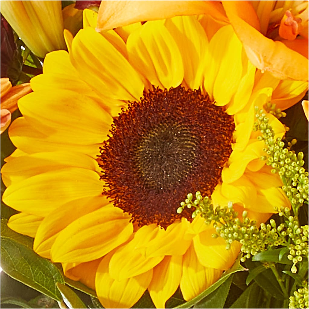 Seasons Change Bouquet – MARY'S GIFT SHOP, Watsonville CA