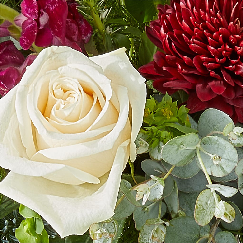 Cranberry Fizz Bouquet – MARY'S GIFT SHOP, Watsonville CA