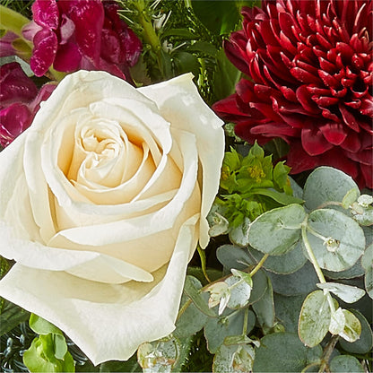 Cranberry Fizz Bouquet – MARY'S GIFT SHOP, Watsonville CA