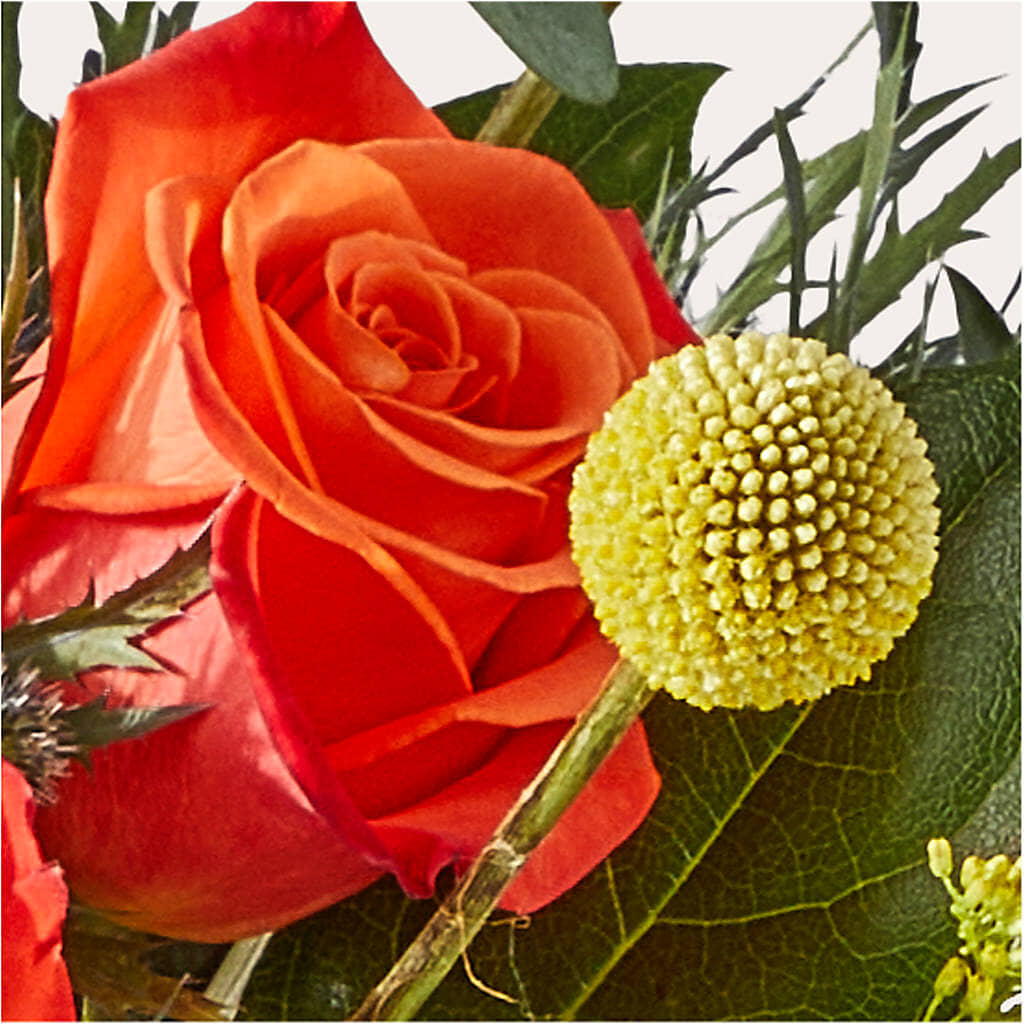 Disco Bouquet – MARY'S GIFT SHOP, Watsonville CA