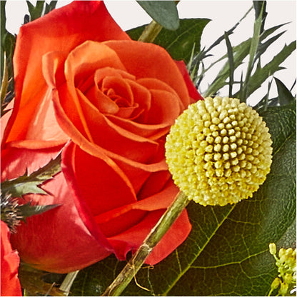 Disco Bouquet – MARY'S GIFT SHOP, Watsonville CA