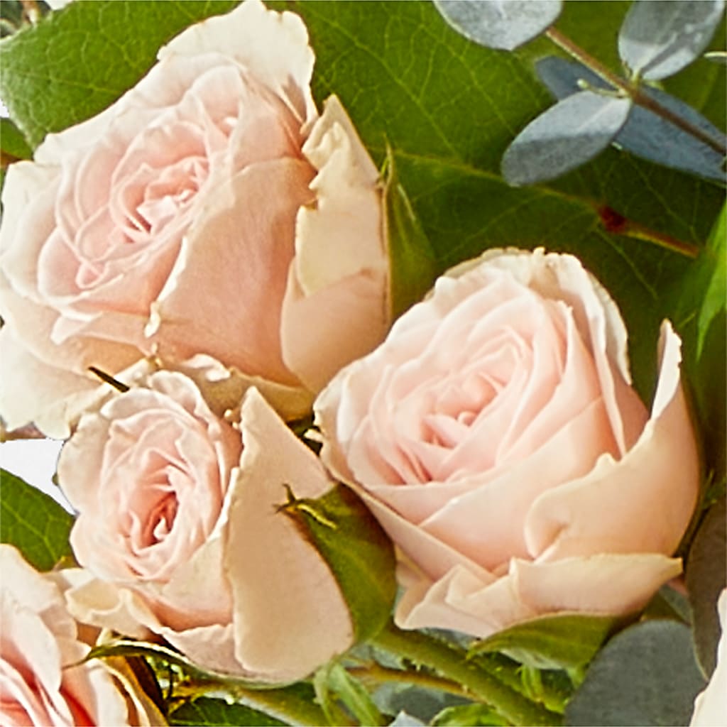 Inspired Bouquet – MARY'S GIFT SHOP, Watsonville CA