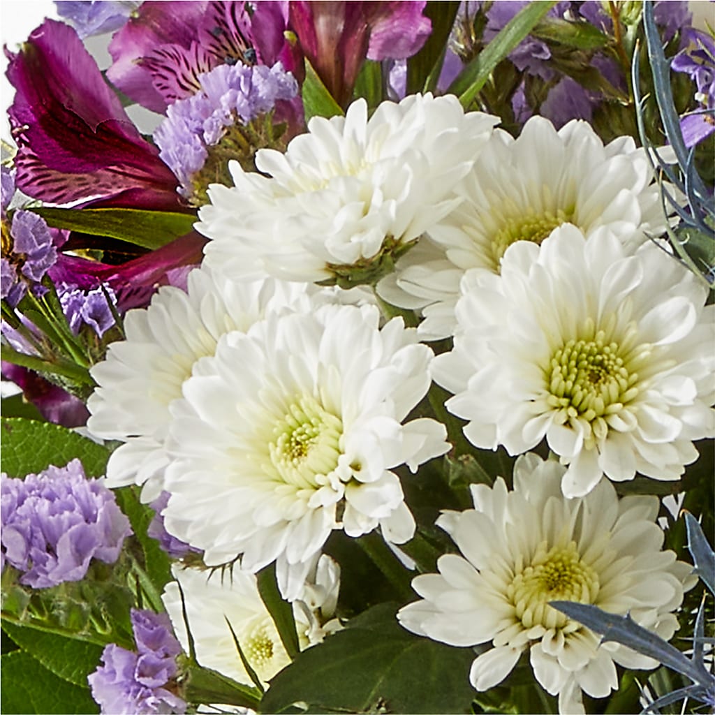 Shooting Star Bouquet – MARY'S GIFT SHOP, Watsonville CA