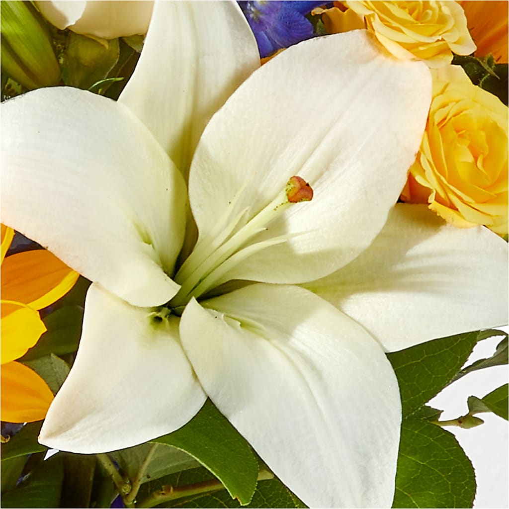 Wonderfully Sunny Bouquet – MARY'S GIFT SHOP, Watsonville CA