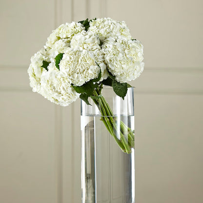 White Hydrangea Hand-Tied Bouquet – MARY'S GIFT SHOP, Watsonville CA
