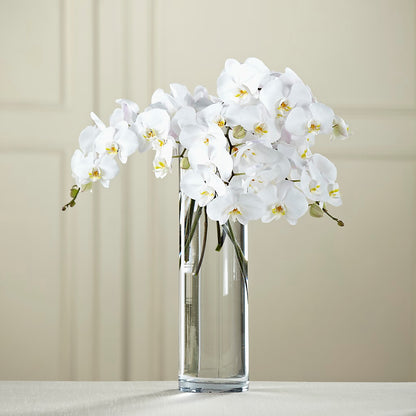White Phalaenopsis Bouquet – MARY'S GIFT SHOP, Watsonville CA
